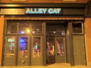 Alley Cat